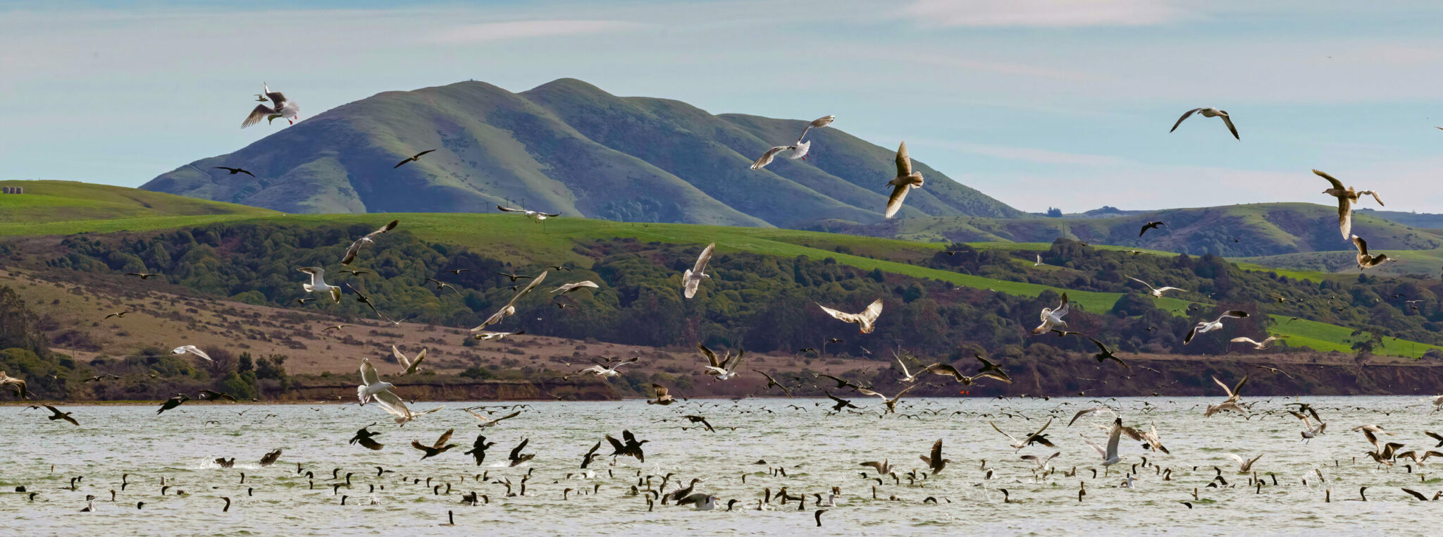 Point Reyes Science Marine Science at the Seashore - Point Reyes National Seashore Association