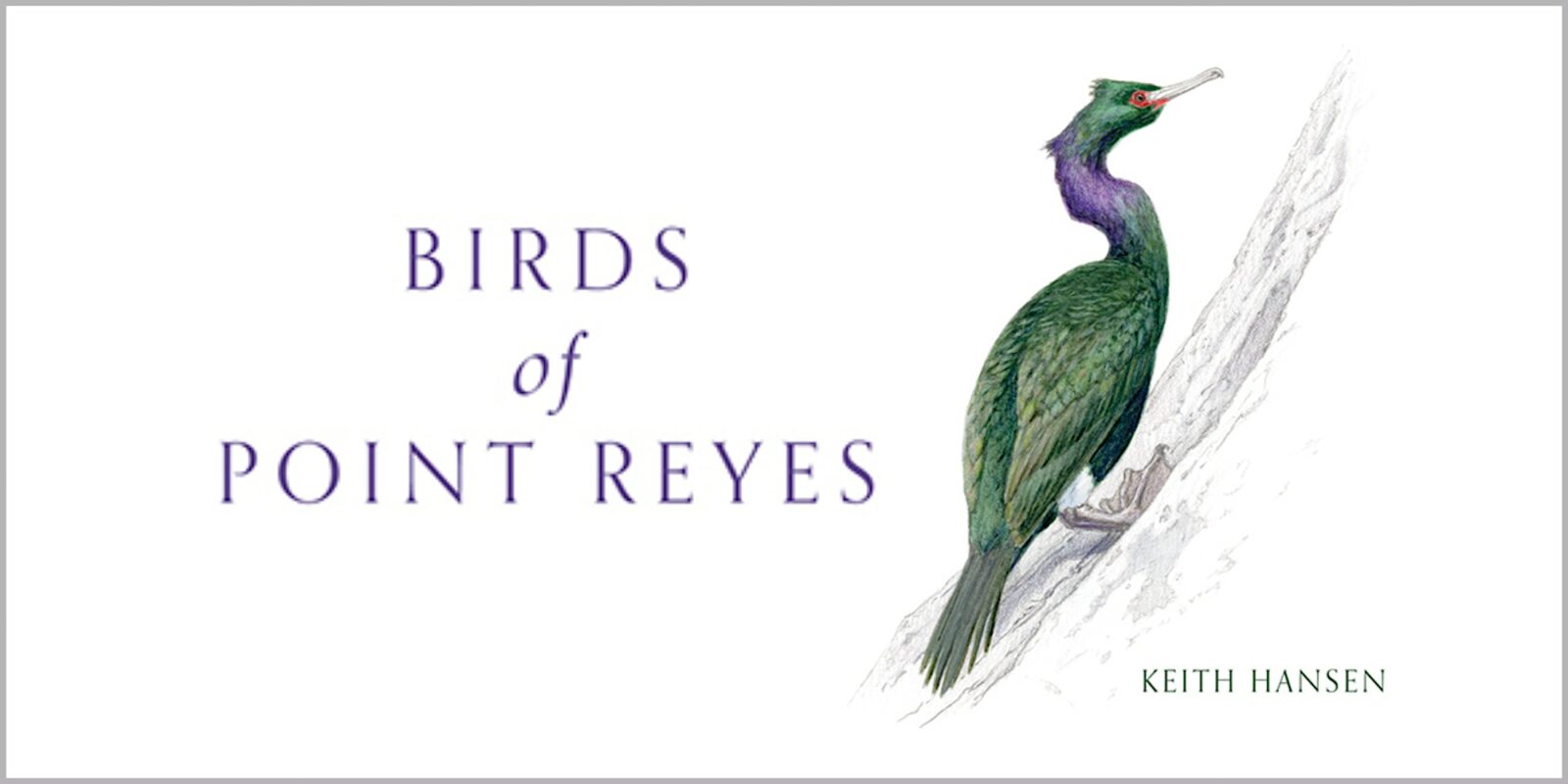 Point Reyes National Seashore Association