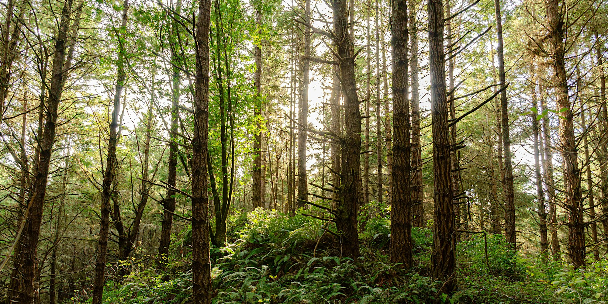 Cultivating Compassion Through Nature - Point Reyes National Seashore ...