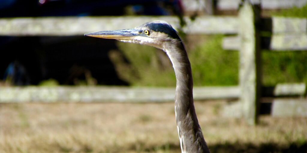 Point Reyes National Seashore Association