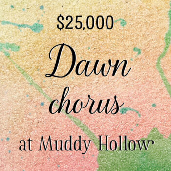A pink, yellow, and green watercolor background with text: "$25,000 Dawn chorus at Muddy Hollow"