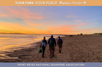 Three people walking down the beach at the shoreline, with a blue, pink, and orange sunset.