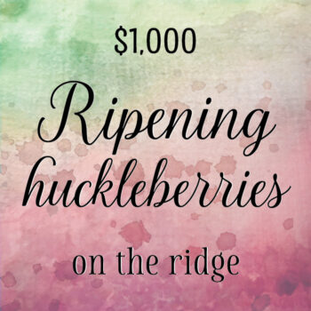A pink and green watercolor background with text: "$1,000 Ripening huckleberries on the ridge"