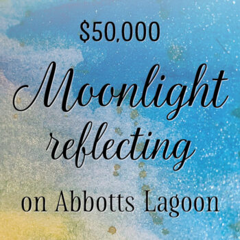 Blue and yellow watercolor background with text: "$50,000 Moonlight reflecting on Abbotts Lagoon"