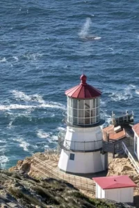 A white and red lighthouse at the edge of a point with a gray whale spouting in the ocean beyond.