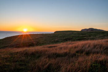A grassy landscape and a sunset over the ocean in the distance.