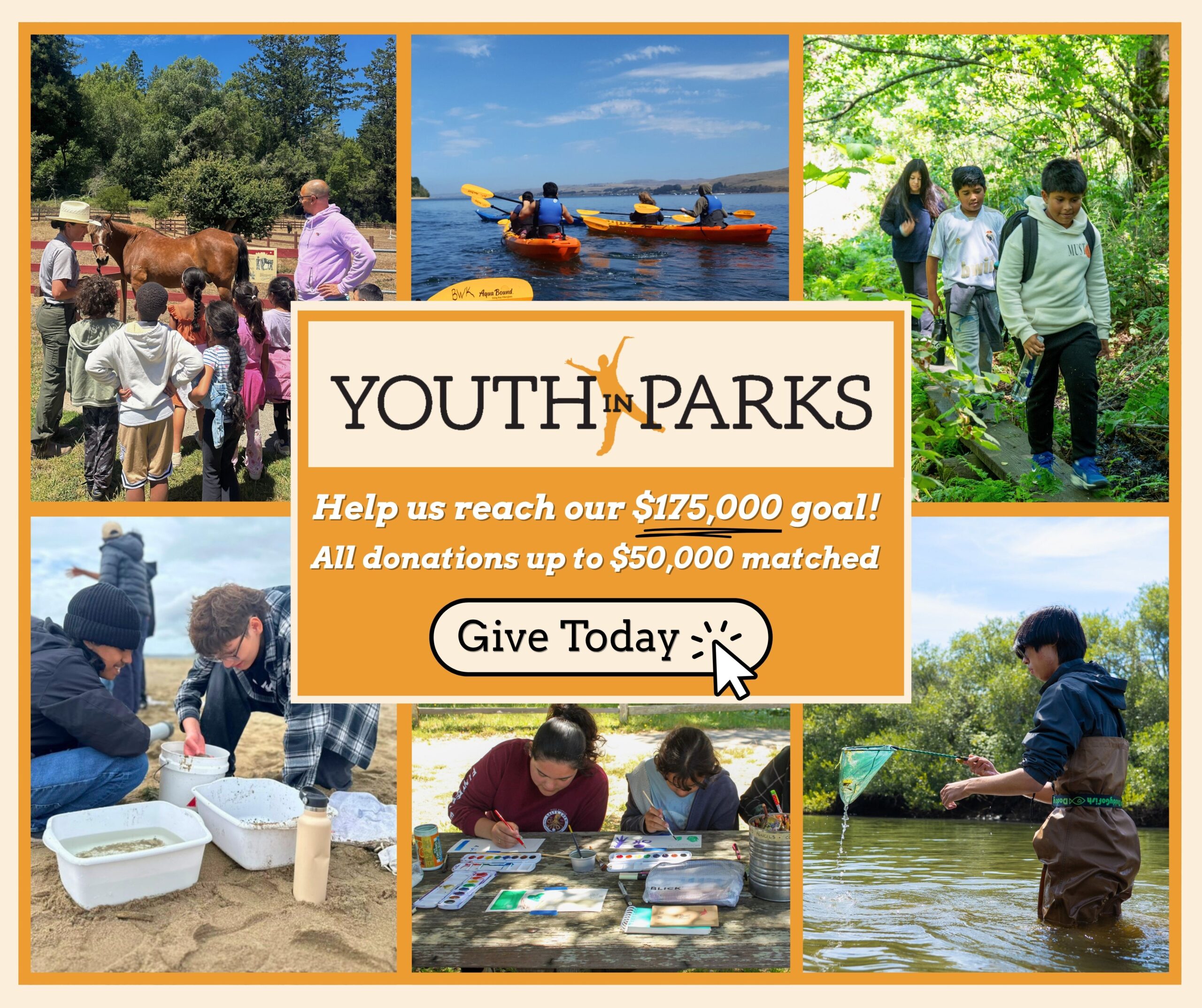 A collage of youth of different ages enjoying the national seashore: hiking, kayaking, painting, etc. Text reads "Youth in Parks, help us meet our $175k goal! All donations up to $50k matched! Donate today."