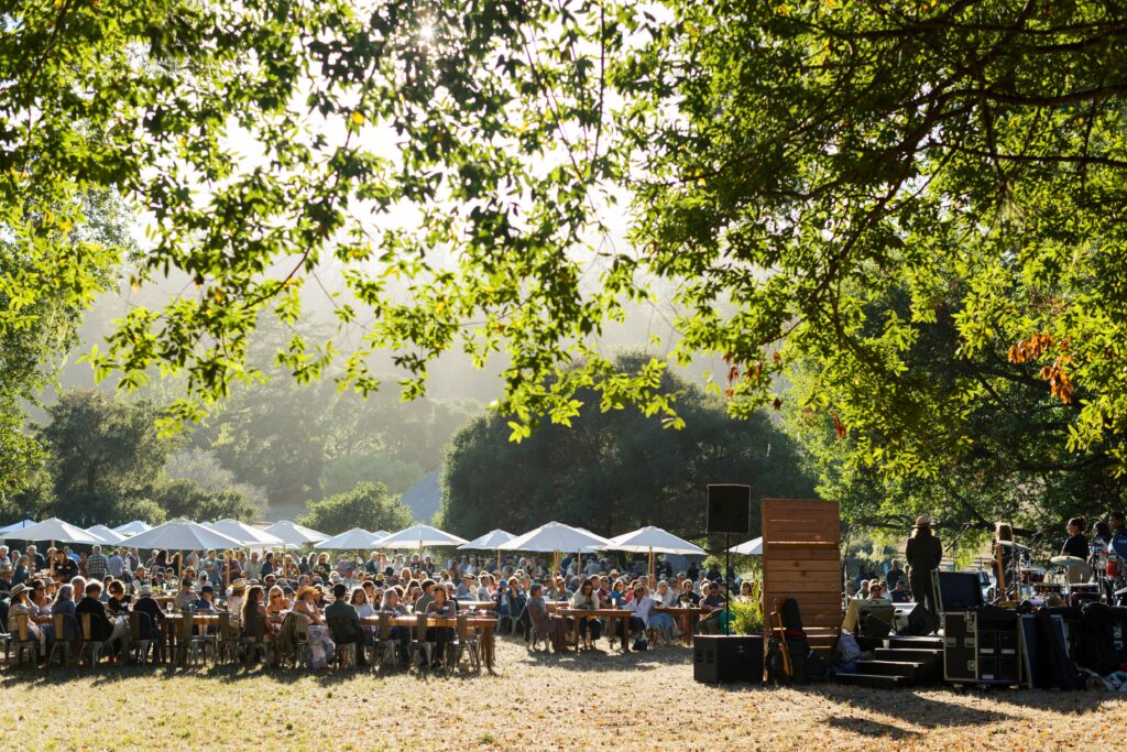An overview of many people at an event in a park.