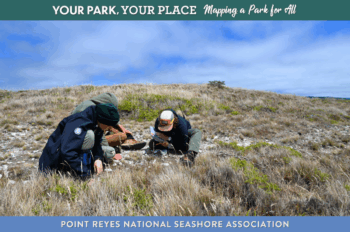 Three people sitting and kneeling in a field of grasses with blue sky in the background