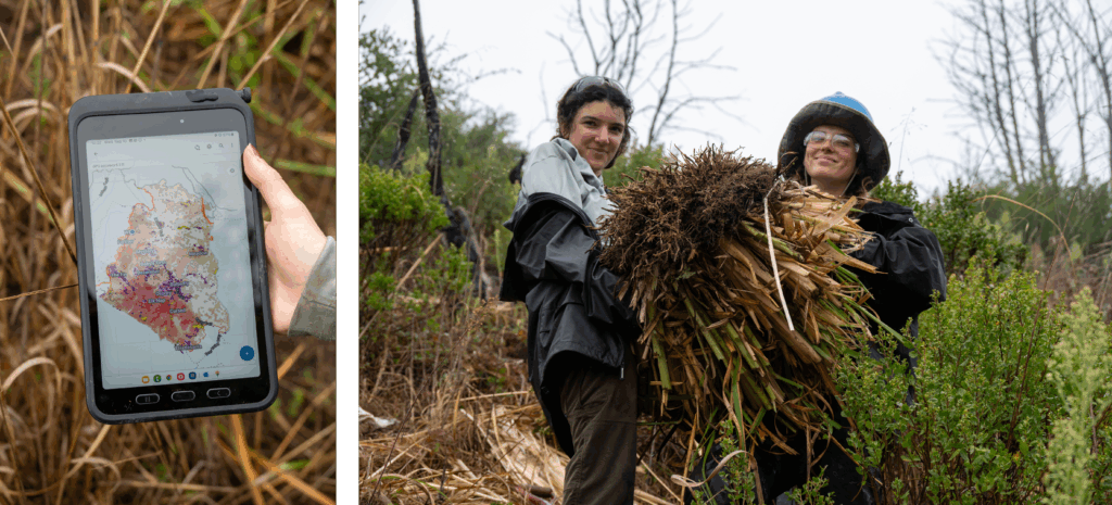 On the left, an image of a hand holding an iPad showing a map. On the right, an image of two women holding a huge root mass.