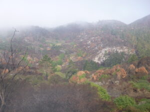 A view of a landscape dotted with brown, black and green patches of vegetation.