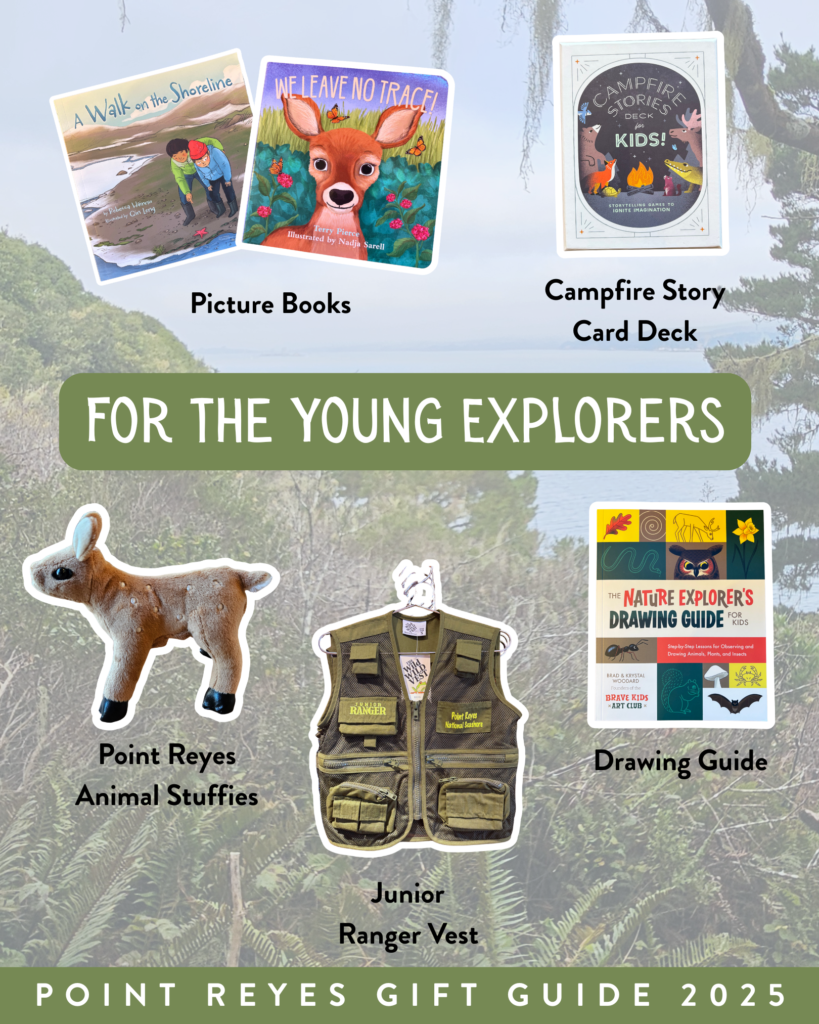 A graphic highlighting products such as picture books, a card deck, and a stuffie. Text reads “For the Young Explorers.”
