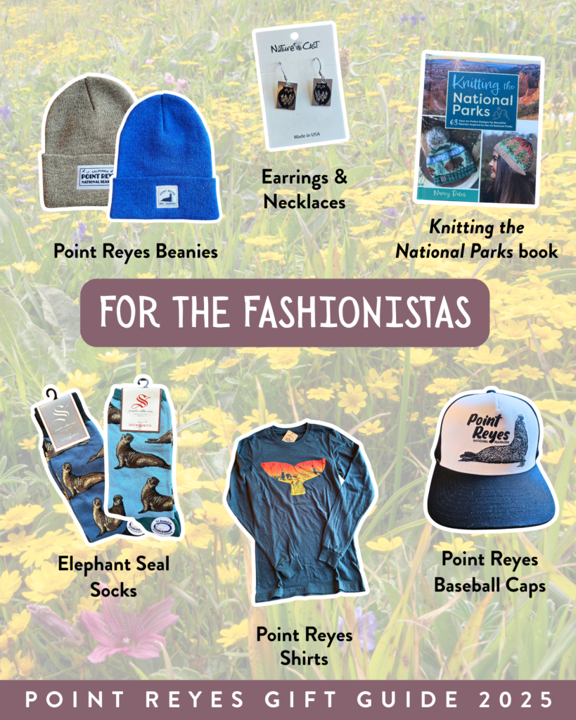 A graphic highlighting products such as beanies, socks, a book, and shirts. Text reads “For the fashionistas.”