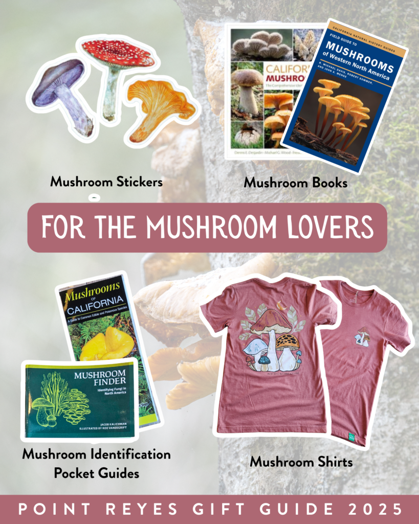 A graphic highlighting products such as stickers, books, and shirts. Text reads “for the mushroom lovers.”