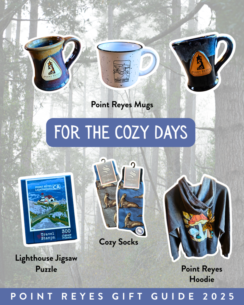 A graphic highlighting products such as mugs, a puzzle, socks, and a hoodie. Text reads “for the cozy days.”