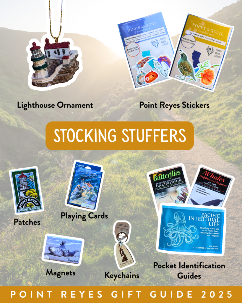 A graphic highlighting products such as an ornament, stickers, patches, and pocket identification guides. Text reads “Stocking stuffers.”