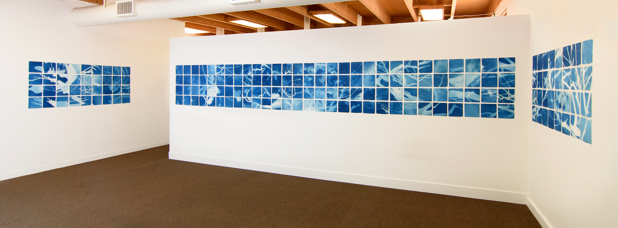 A gallery exhibition featuring a long grid of cyanotype prints.