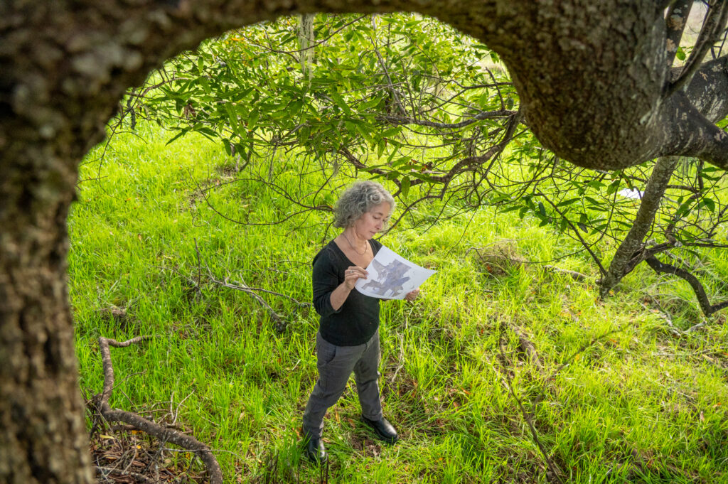 A bird's eye view perspective of a woman holding an illustrated paper, looking up at a tall tree.