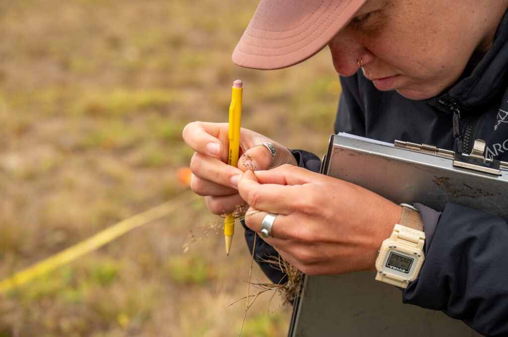 A close up of a woman holding a pencil and clipboard and observing a small grass.