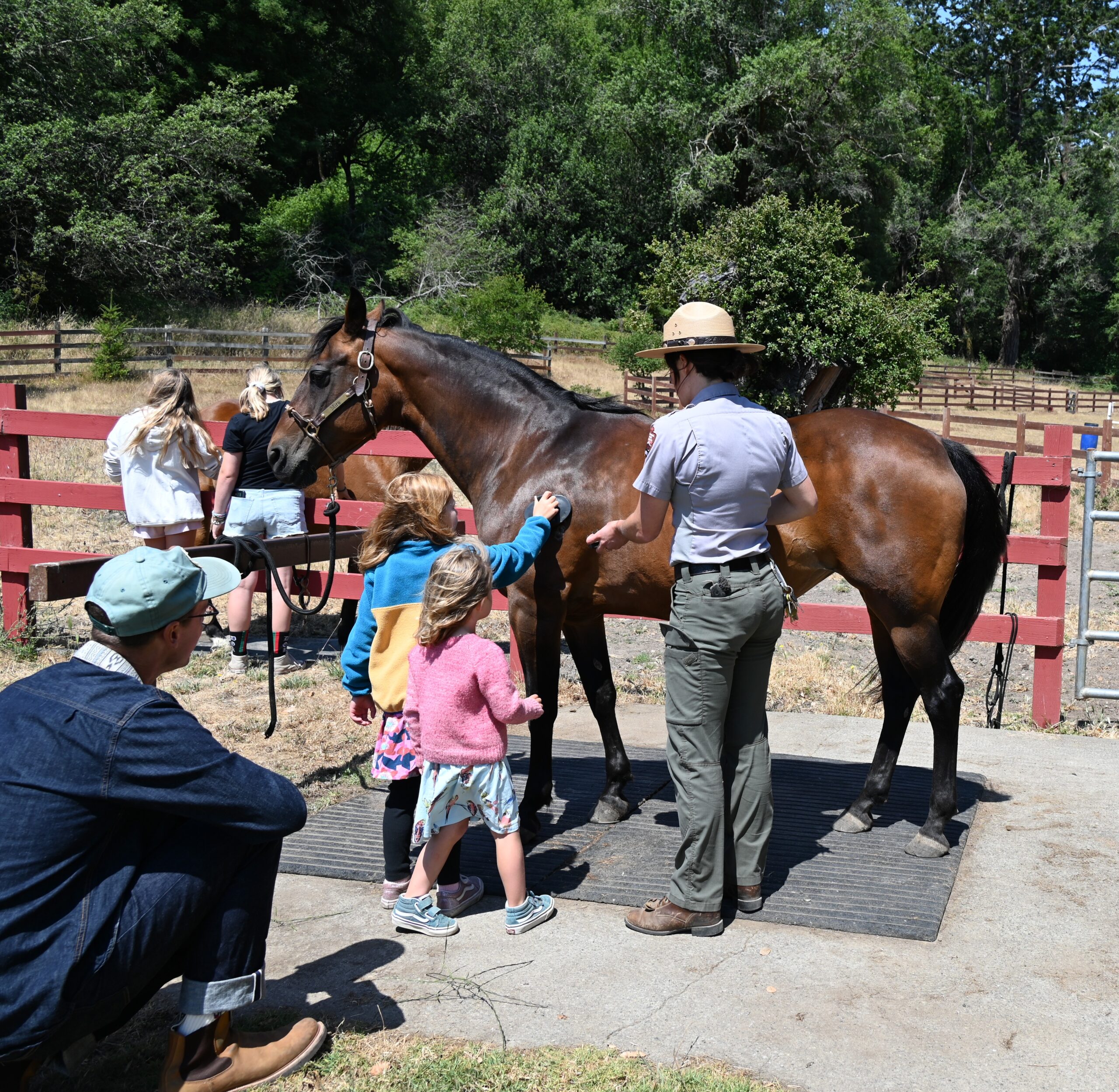 Horse patrol rider
