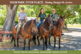 Three staff members sit on brown horses, smiling brightly at the camera.