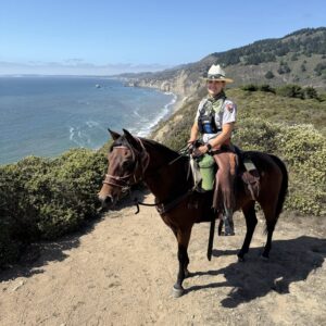 Horse patrol on beach