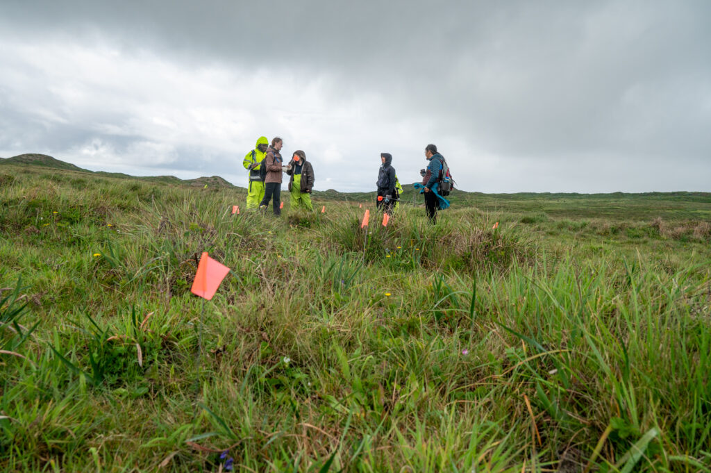 A group of researchers stand in a grassland. Orange flags dot the landscape around them.