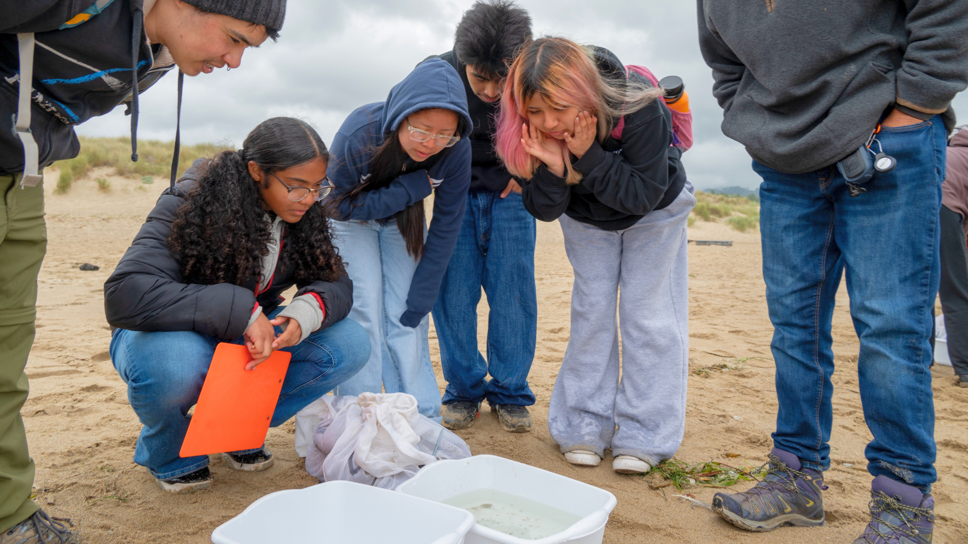 This Land is for Everyone: Oakland Goes Outdoors Finds Magic at Point Reyes