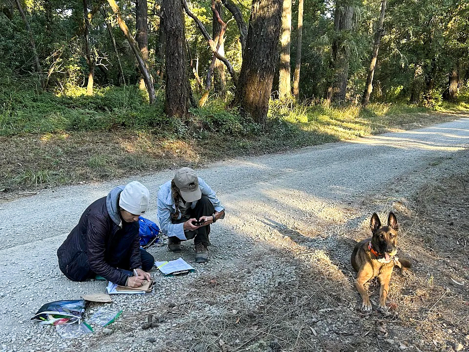 Two women kneel on a gravel road recording data on a clipboard. A dog lays near to them.